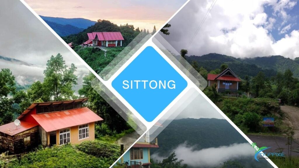 Sittong